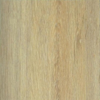 Vinylová podlaha se zámkem 1 Floor V6 Dub Arizona Rustic DLC00048AKT